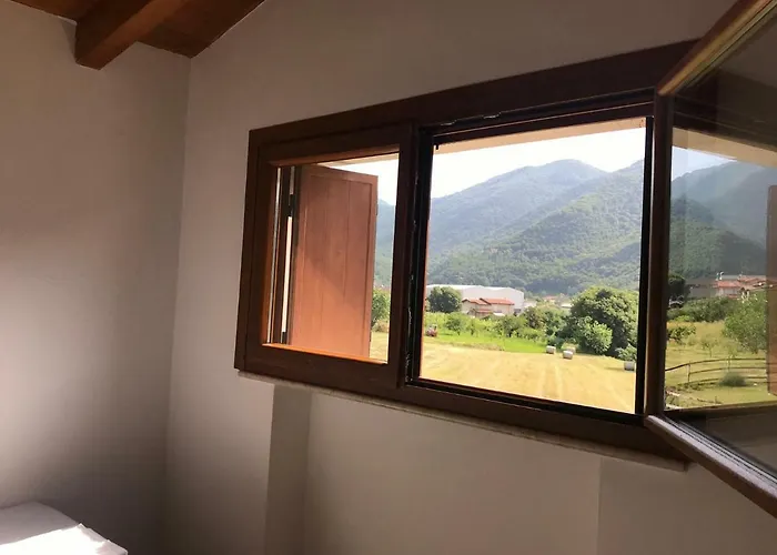 El Cio *