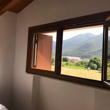 El Cio *